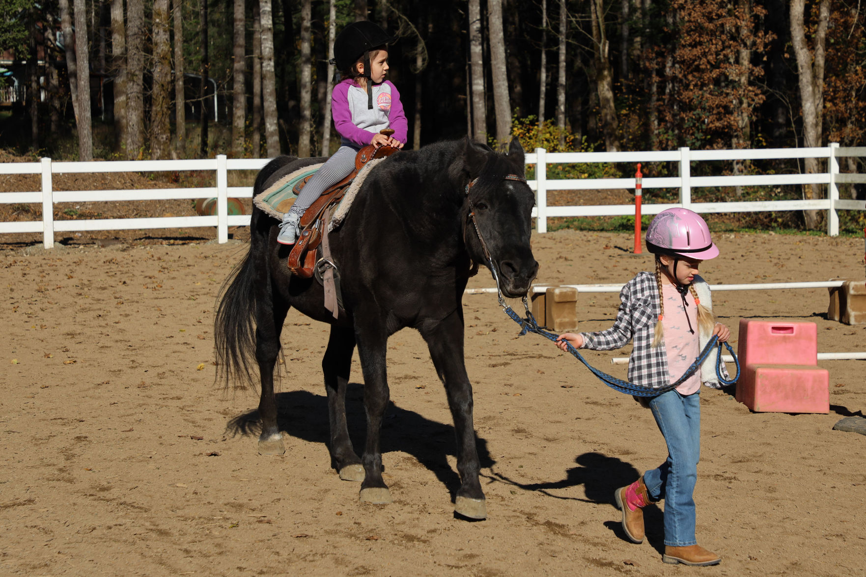 Grace Therapeutic Horse Farm #1